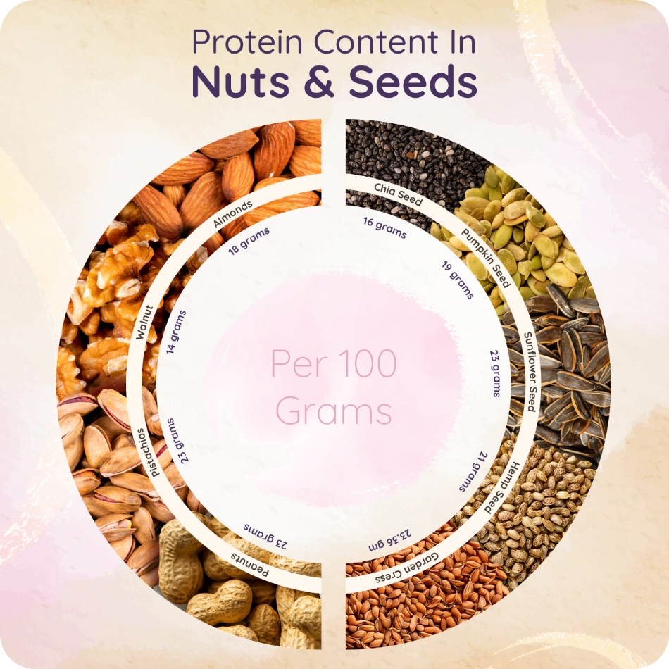 High Protein and Nutrients Packed Nuts and Seeds